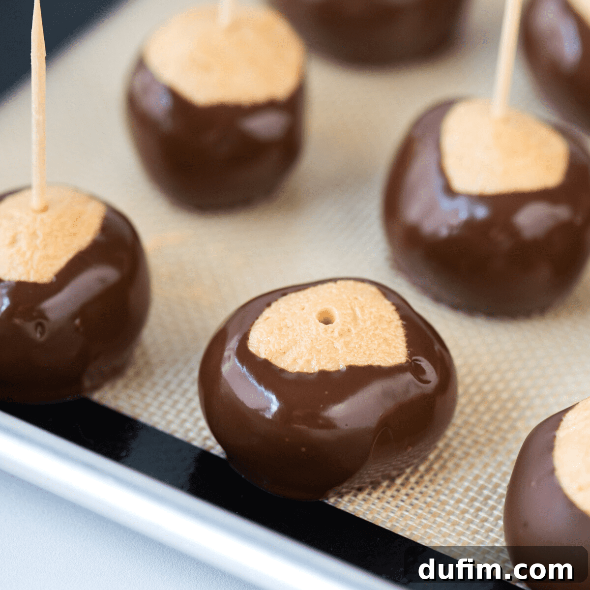 Sweet & Salty Homemade Peanut Butter Buckeye Bites 8 A freshly dipped peanut butter ball, showcasing the classic chocolate coating with an exposed peanut butter 'eye'.