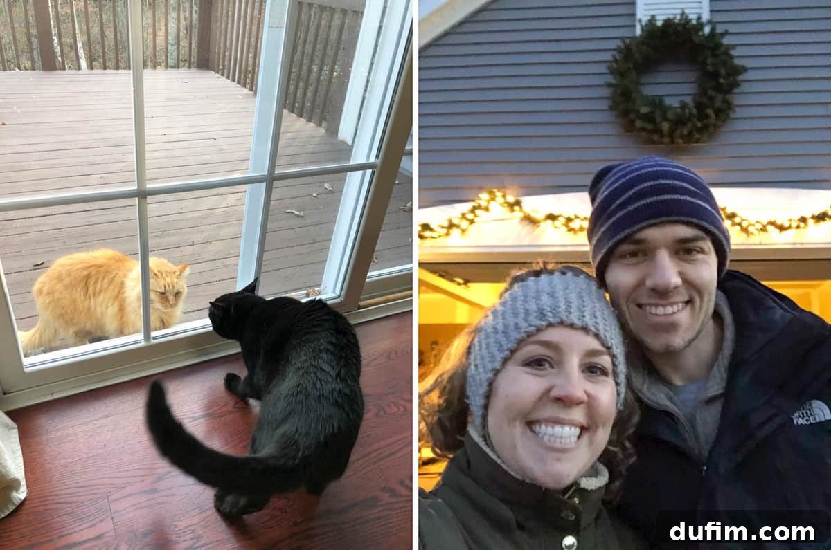 Salsa the dog meeting a friendly orange outdoor cat by the patio door, showcasing their curious interaction; and Christmas garland being hung on a porch.