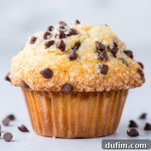A close-up of chocolate chip muffins in paper wrappers, topped with sugar crystals and chocolate chips, with a few chocolate chips scattered on the light surface around them.