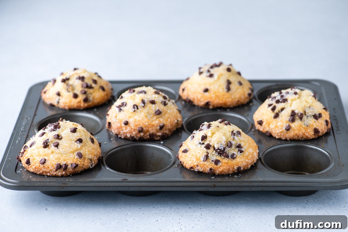 6 chocolate chip muffins in muffin pan