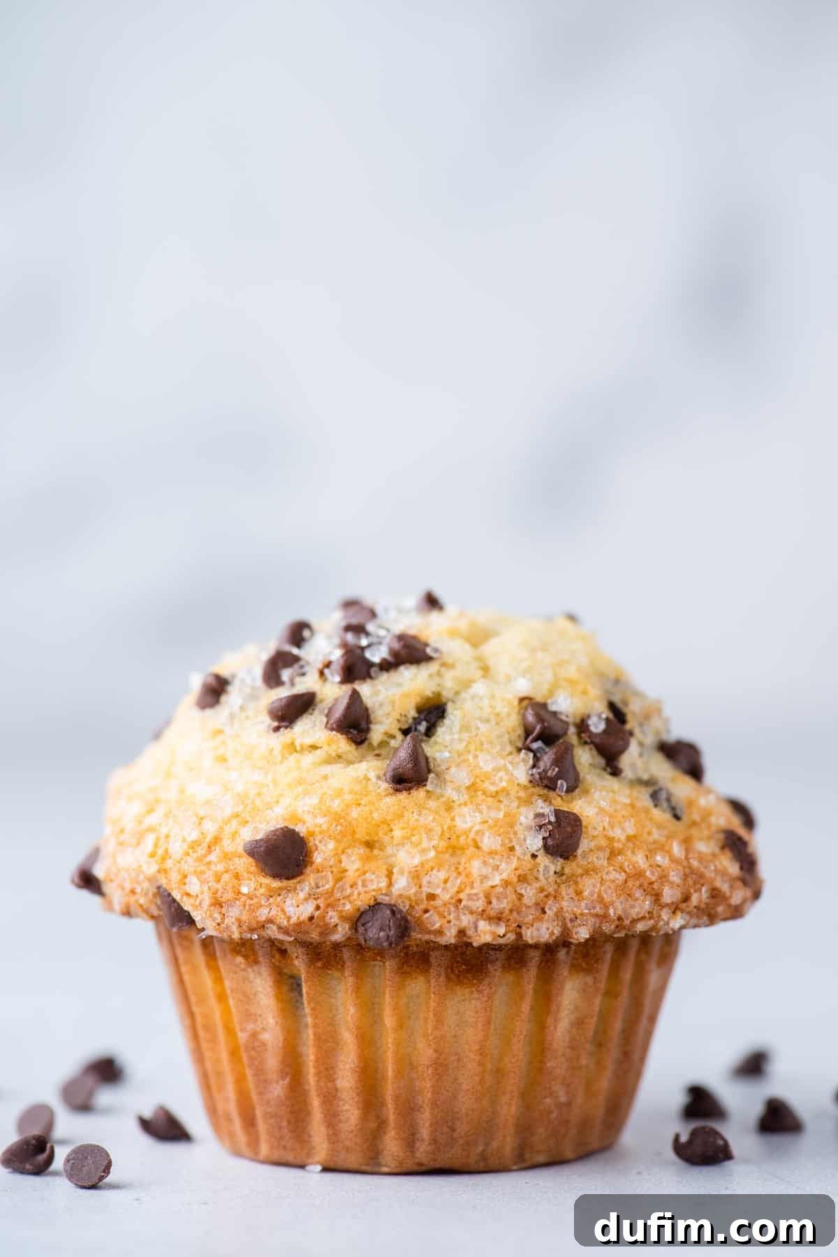 single chocolate chip muffin on white background