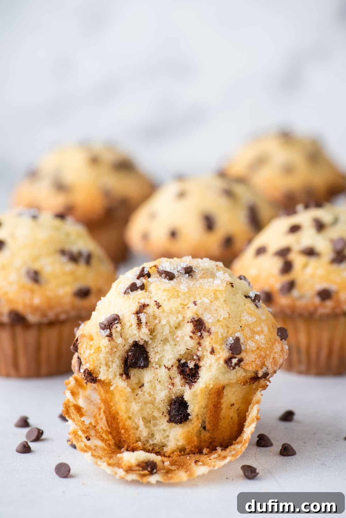 chocolate chip muffins arranged on white background
