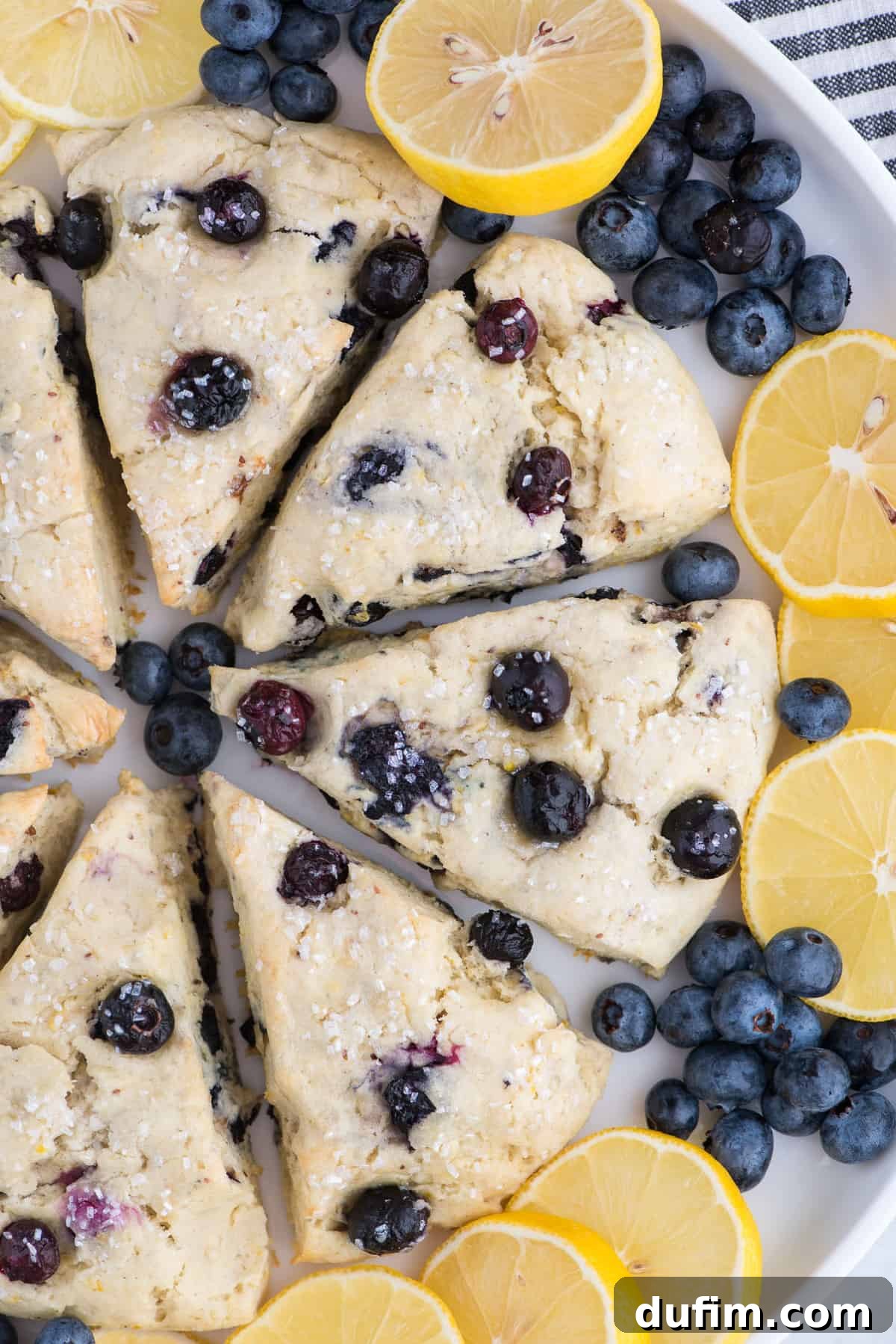 Circle of lemon blueberry scones on a white platter, beautifully garnished with fresh lemon slices and ripe blueberries, showcasing their golden-brown finish.