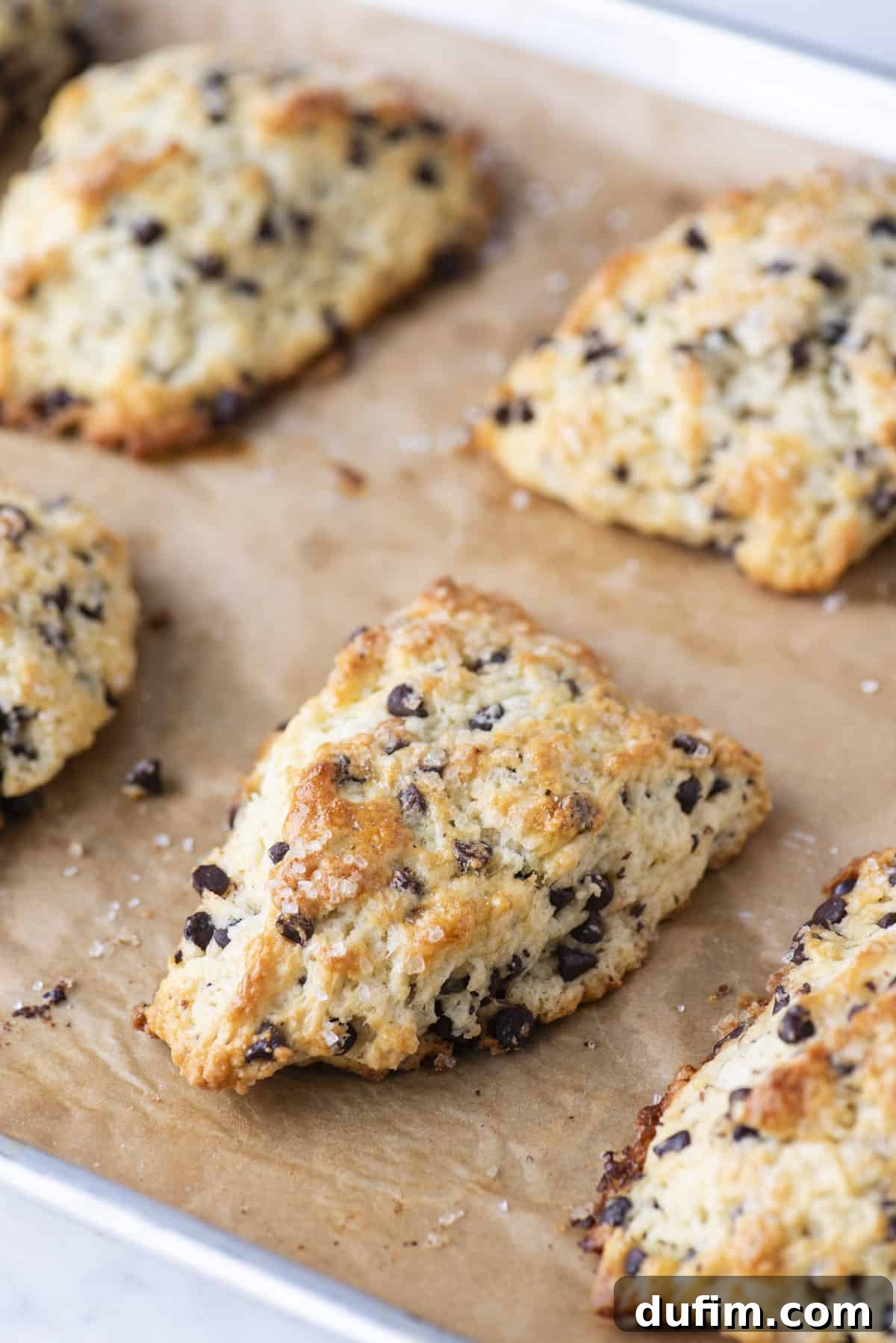 Gourmet Chocolate Chip Buttermilk Scones 3 A close-up view of bakery-style chocolate chip scones on brown parchment paper, showcasing their delicate layers and chocolate pieces.