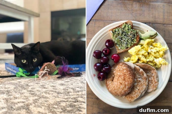 Two separate images: one featuring an adorable cat, Salsa, looking curious; the second showing a delicious breakfast in bed spread, celebrating a 31st birthday.