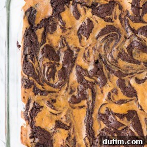 Pumpkin Cheesecake Swirl Brownies 8 A glass baking dish filled with pumpkin cheesecake brownies, swirled with chocolate and peanut butter for a beautiful marbled pattern on the surface.