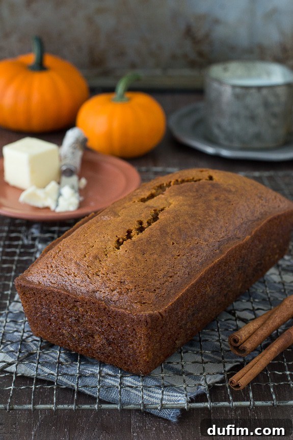 Starbucks Inspired Pumpkin Bread Perfection 2 A perfectly baked, golden-brown whole pumpkin bread loaf rests on a metal cooling rack, with decorative autumn pumpkins softly blurred in the background, signaling the start of fall baking season.