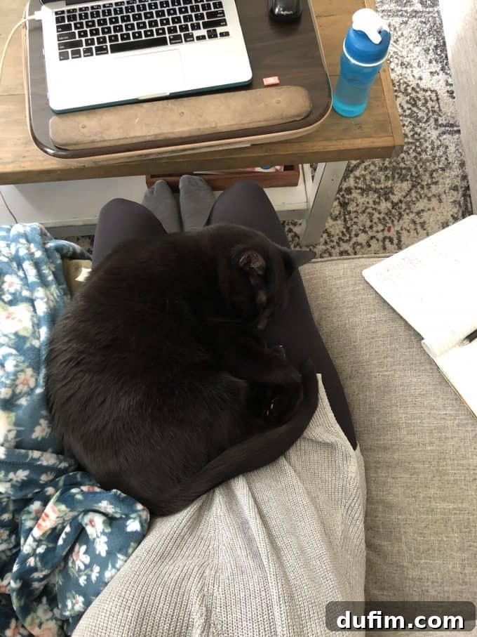 Our dog, Salsa, curled up next to the author during early pregnancy