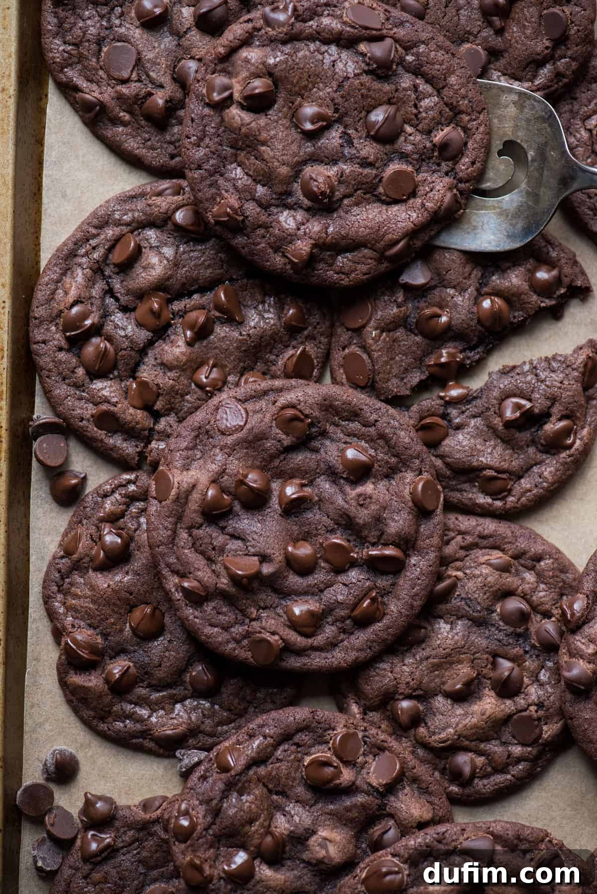 Fudgy double chocolate chip cookies arranged on brown parchment paper with a metal cookie spatula lifting one, showcasing their perfect bake and melted chocolate.
