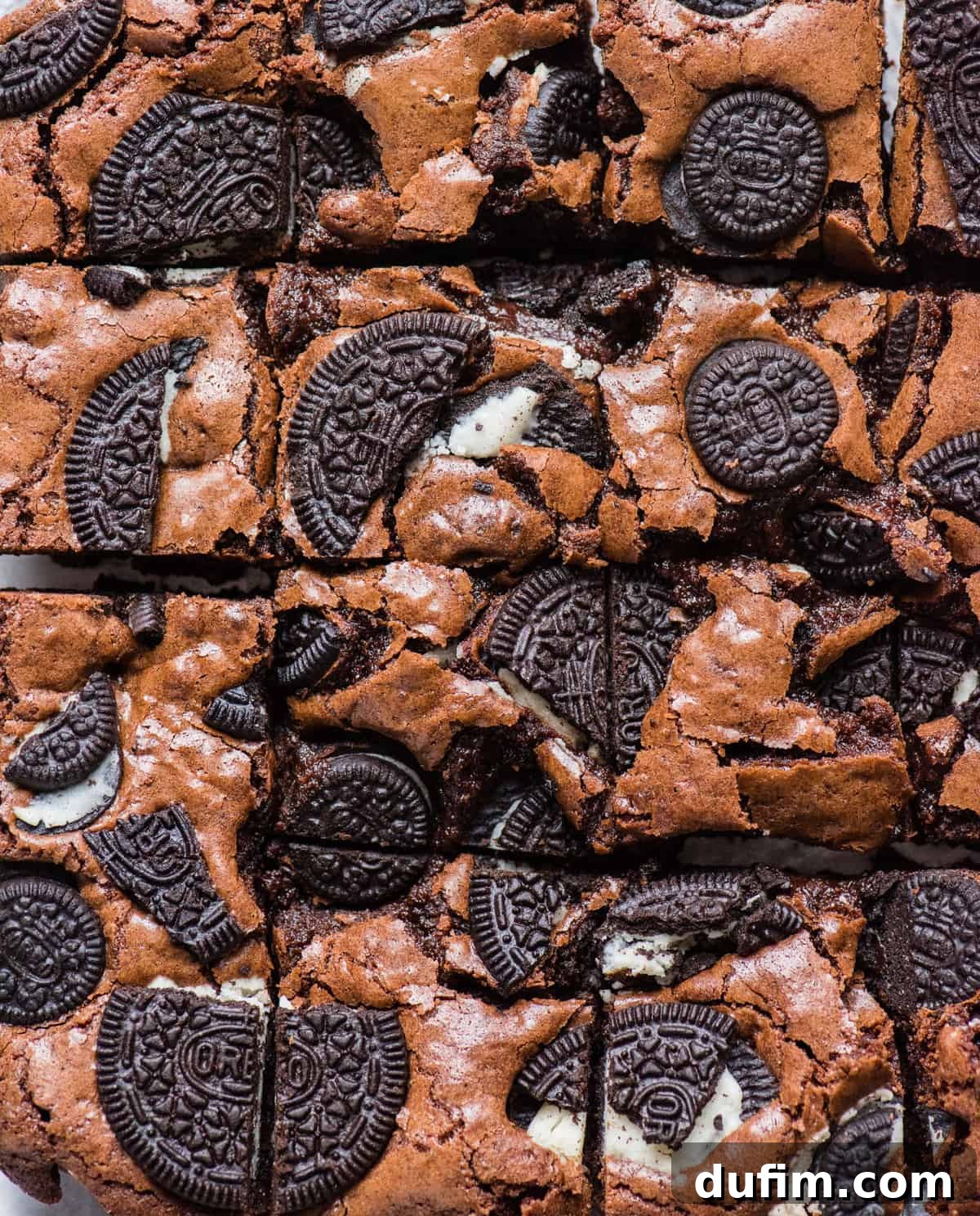 Decadent Oreo Fudge Brownies 2 Homemade Oreo brownies, freshly baked and cut into perfect squares, showcasing the rich, dark chocolate interior and generous chunks of Oreo cookies embedded on top and throughout the fudgy dessert.
