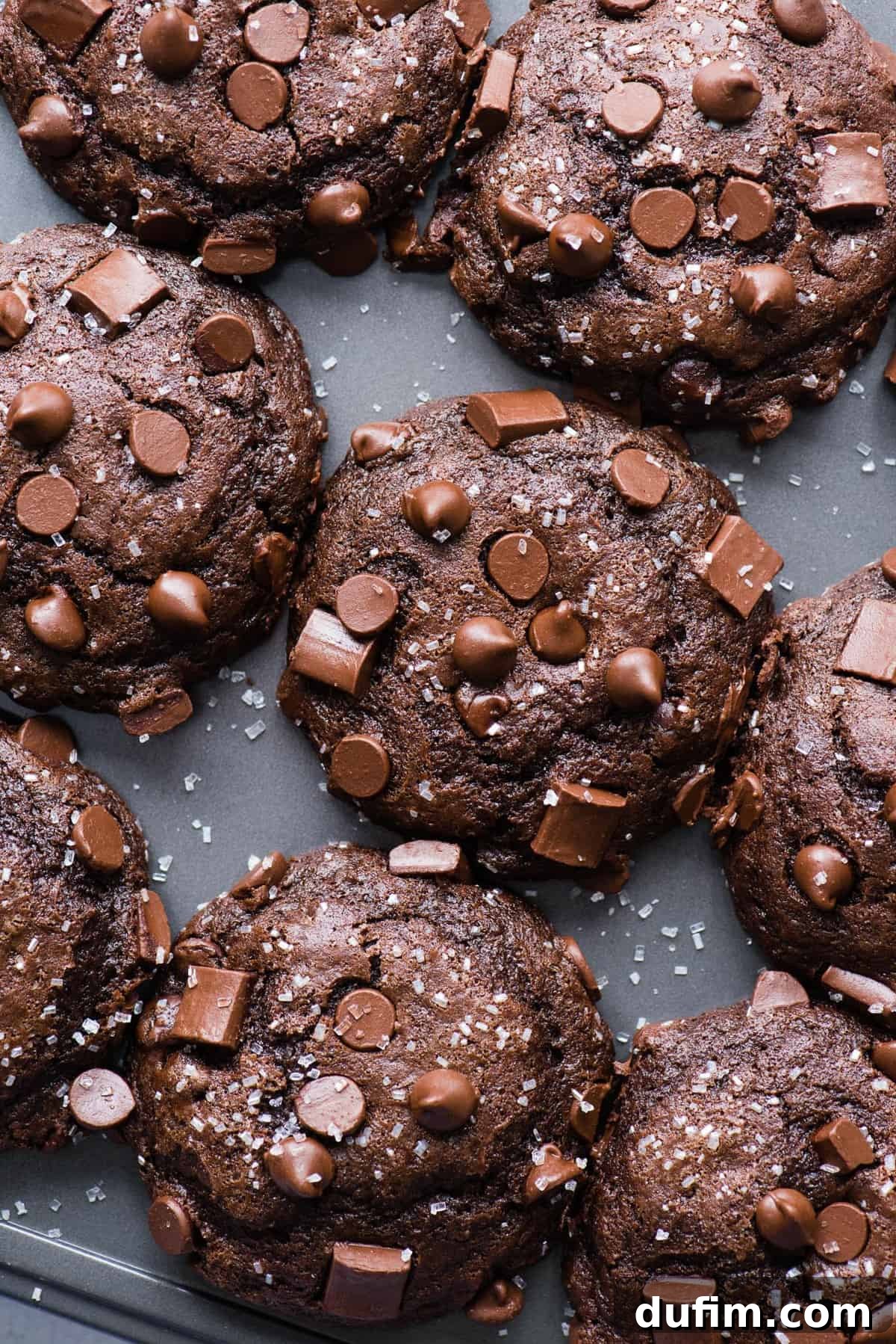 Decadent Chocolate Muffins 2 A metal muffin pan holds several fluffy chocolate muffins, generously studded with glistening chocolate chips, showcasing their inviting, domed tops.