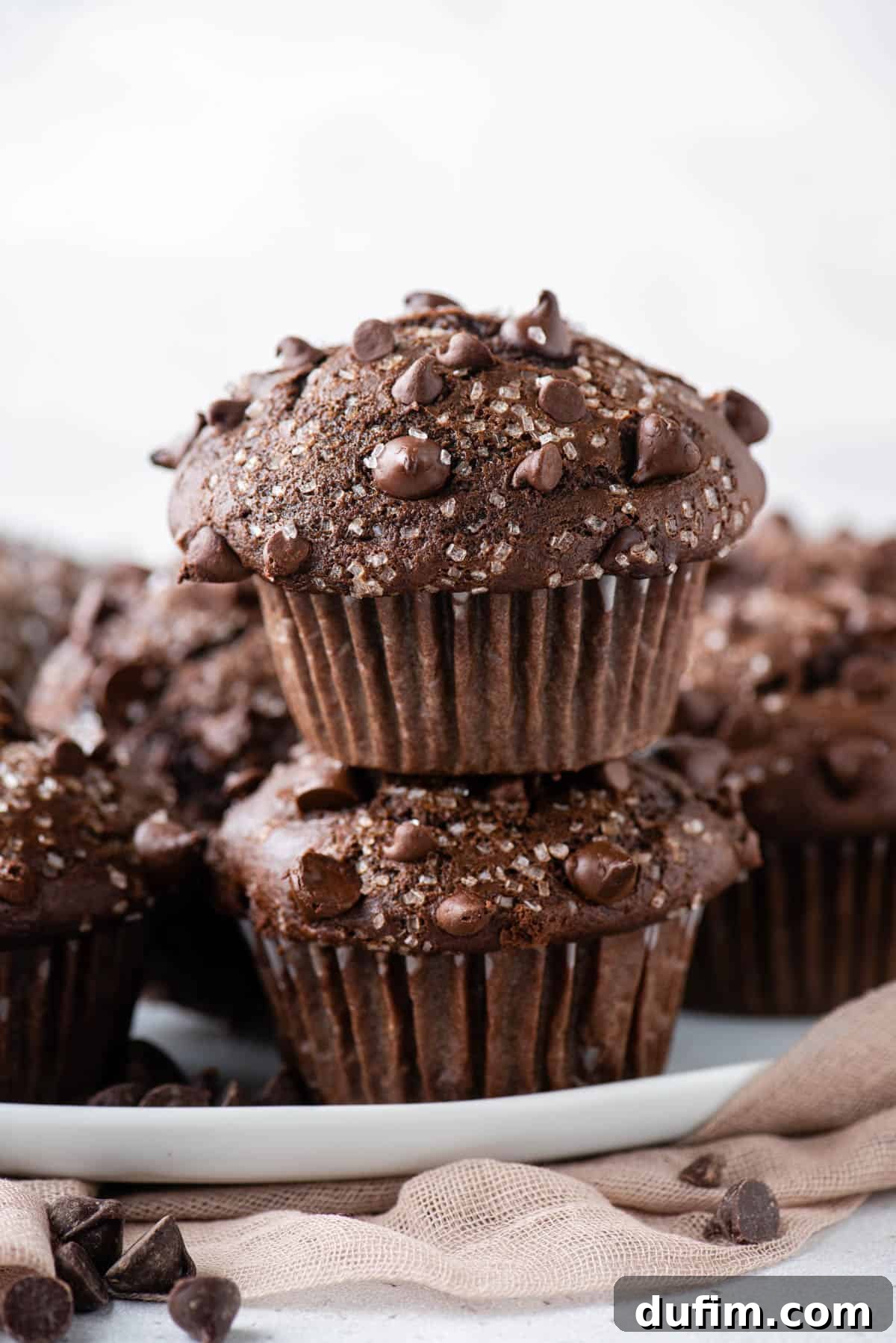 Decadent Chocolate Muffins 7 Two perfectly baked double chocolate chip muffins, stacked one on top of the other, showcasing their generous size and rich, chocolatey texture.