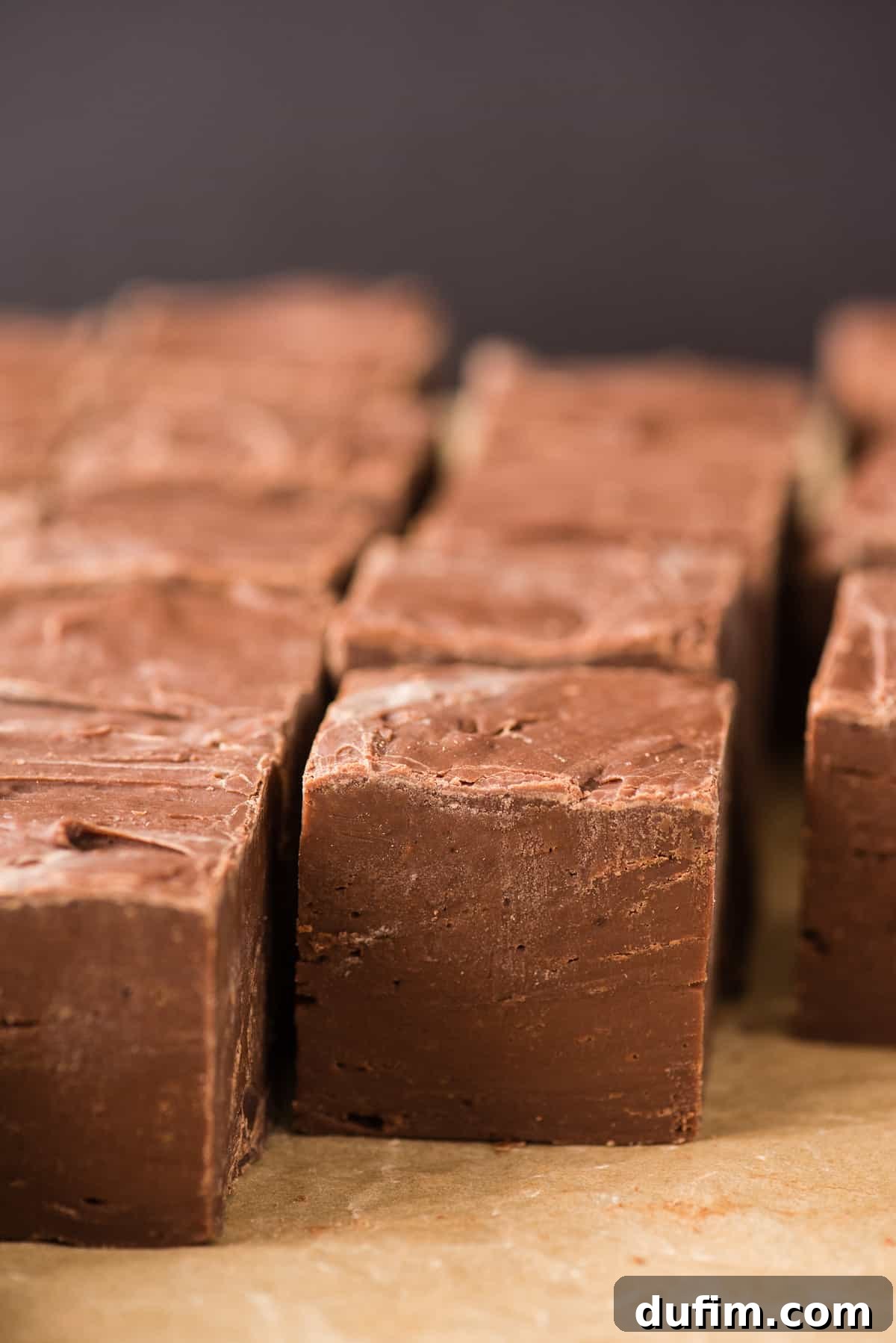 Close-up side view of perfectly cut, tall chocolate fudge squares, showcasing the thick, smooth texture and rich dark chocolate color.