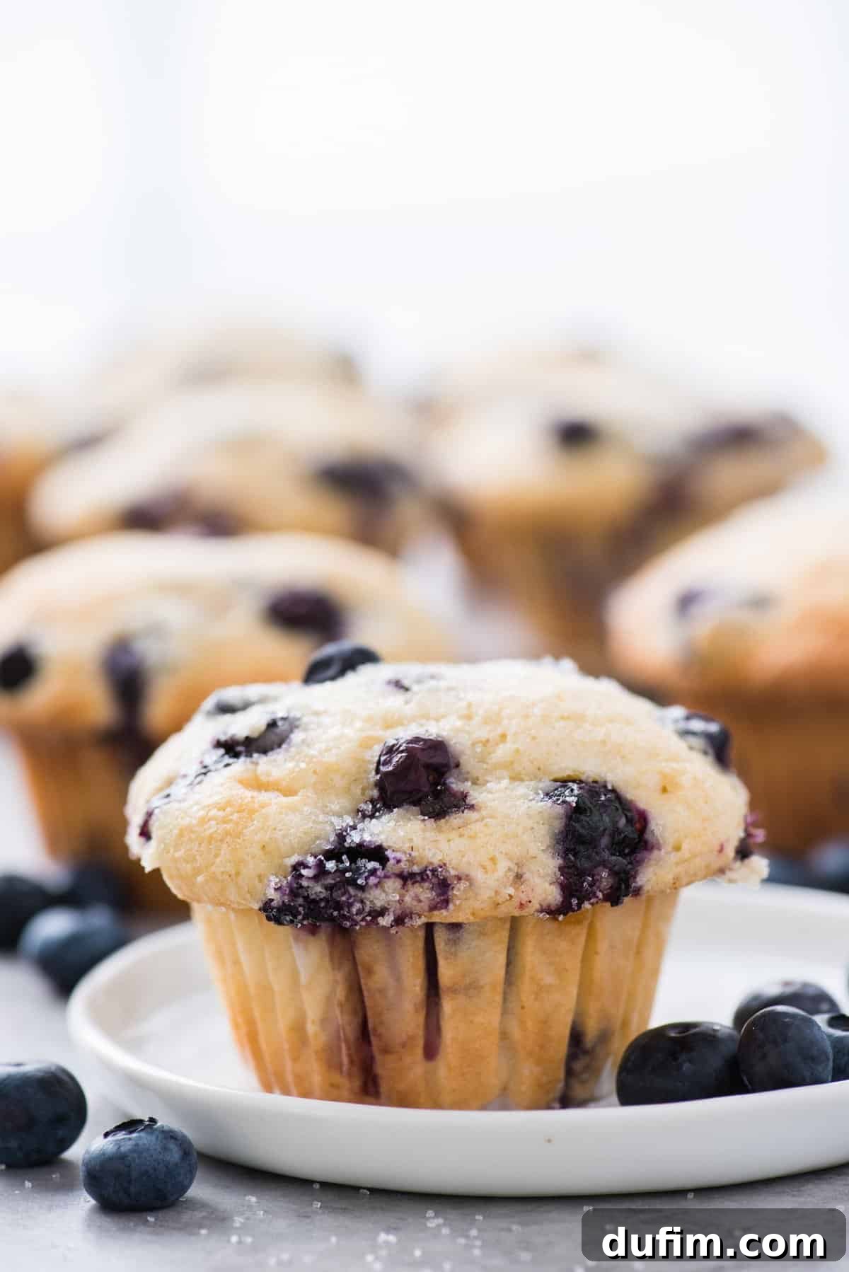 Irresistible Gluten-Free Blueberry Muffins 2 gluten free blueberry muffin on white plate with blueberries, showcasing its moist texture and domed top