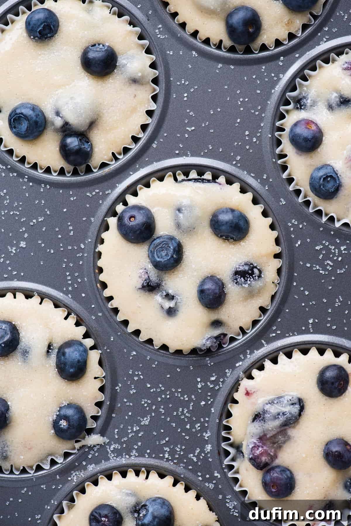 Irresistible Gluten-Free Blueberry Muffins 3 blueberry muffin batter in metal muffin pan, perfectly thick and ready for baking