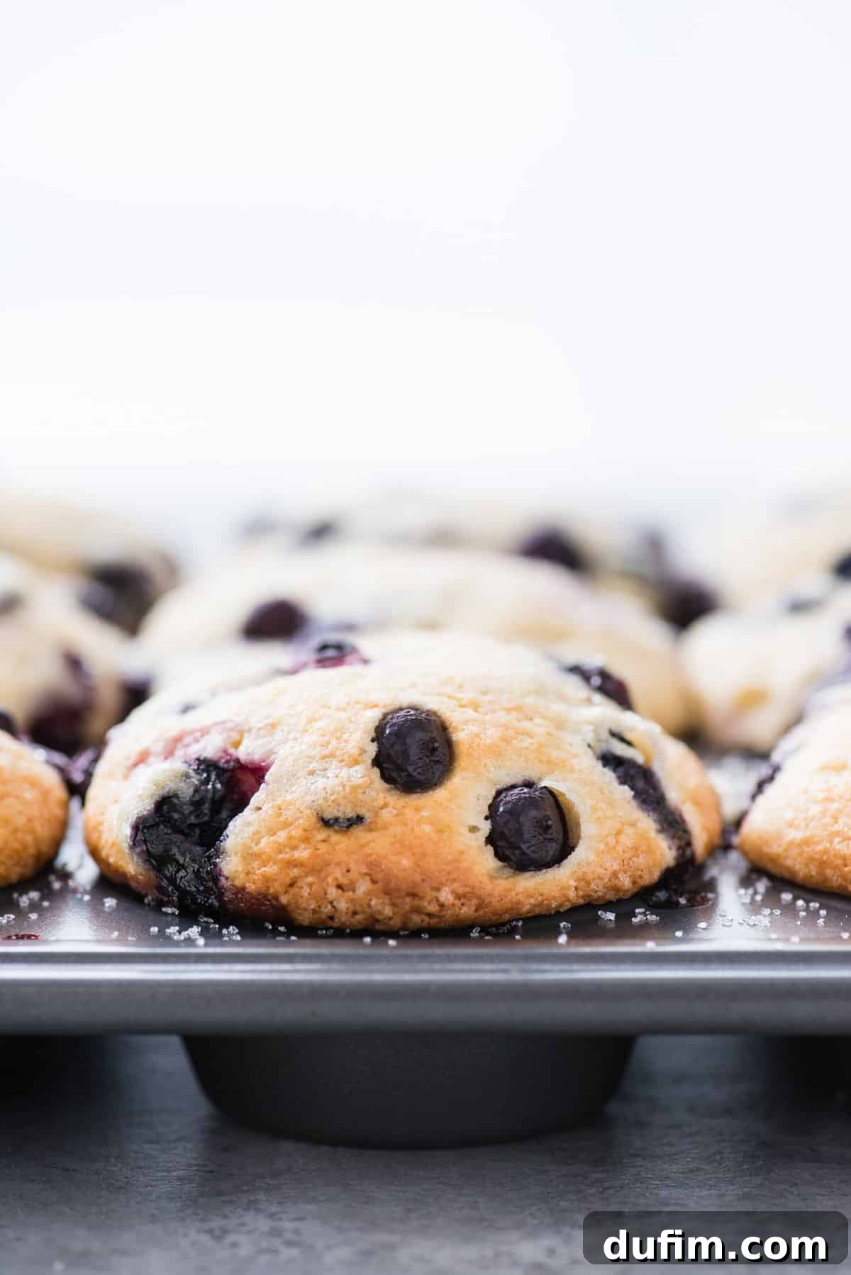 Irresistible Gluten-Free Blueberry Muffins 6 side shot of a single gluten free blueberry muffin in a metal muffin pan, highlighting its domed top and golden crust