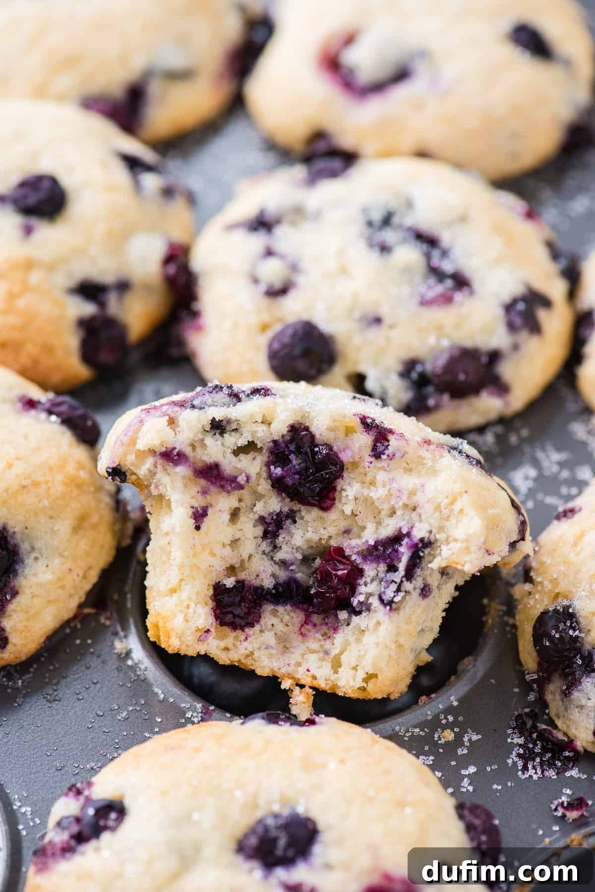 Irresistible Gluten-Free Blueberry Muffins 7 a gluten free blueberry muffin with a bite removed, sitting in a metal muffin pan, showing its moist interior
