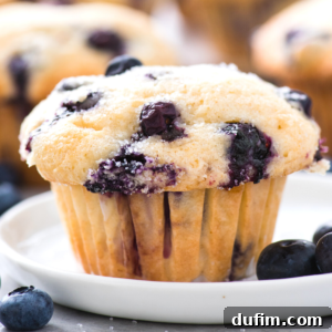 A close-up of a freshly baked gluten free blueberry muffin on a white plate, topped with sugar and surrounded by a few loose blueberries.