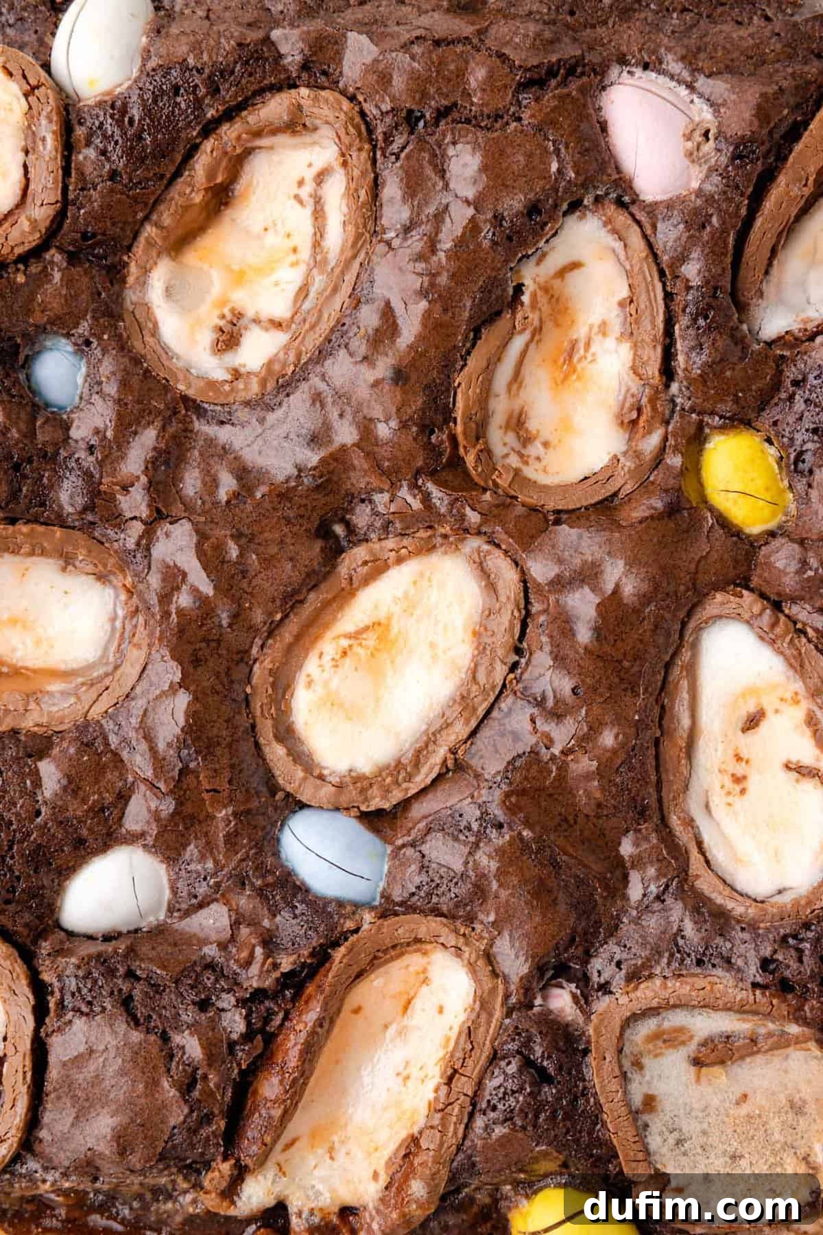 Rich, fudgy brownies topped with halved Cadbury Creme Eggs and colorful mini eggs, arranged in a glass baking dish, ready to be served for Easter.