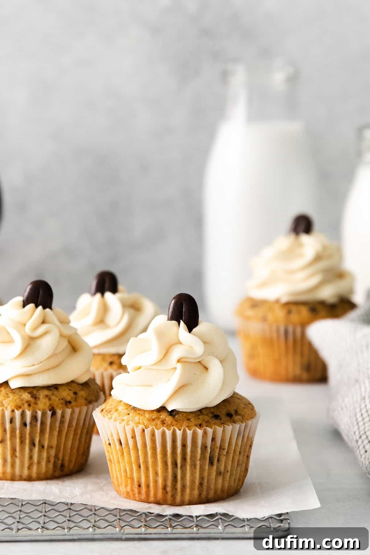 Delicious espresso cupcakes adorned with swirled coffee frosting and a decorative coffee bean on top.