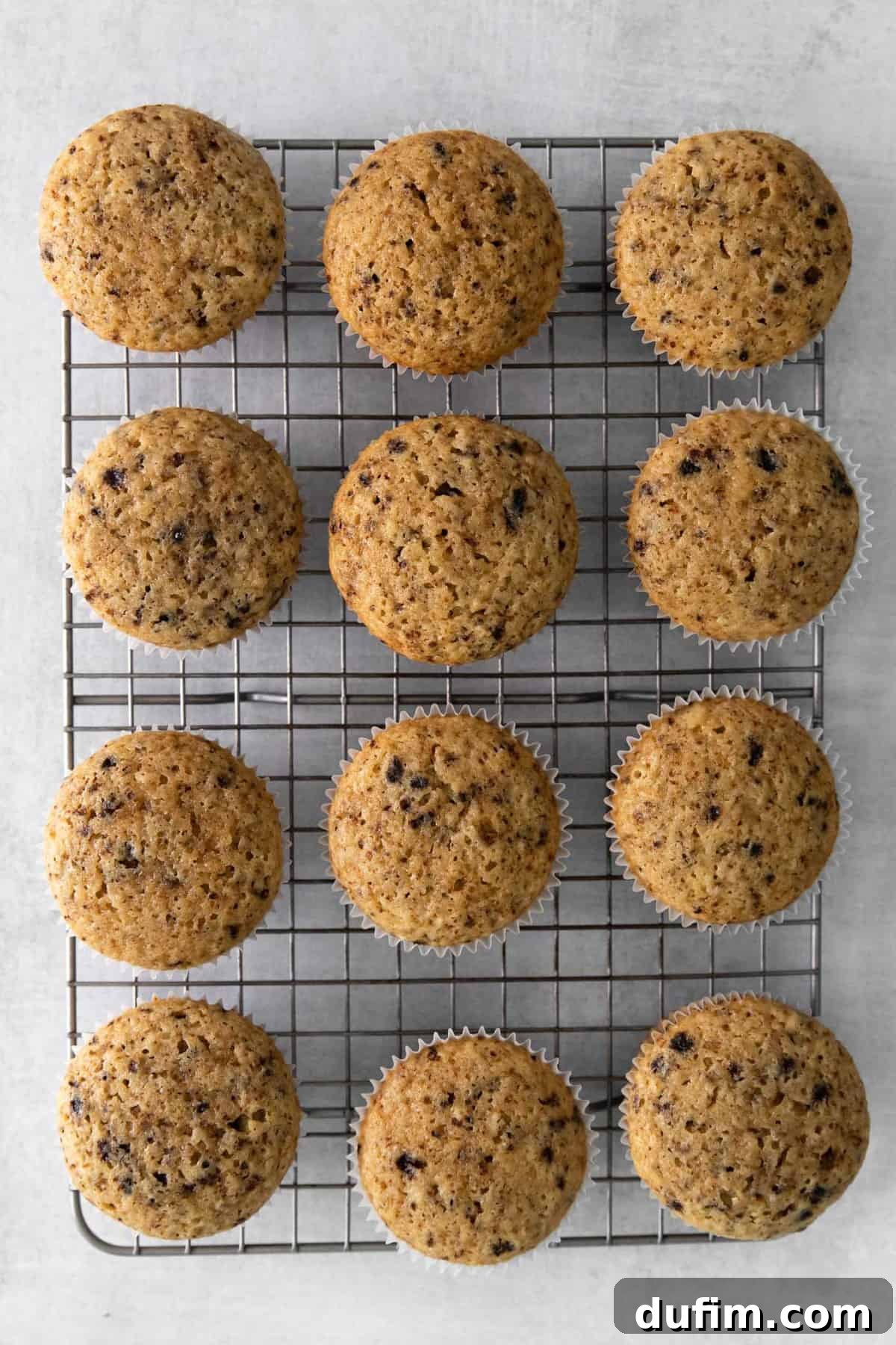 Unfrosted coffee cupcakes lined up on a cooling rack, patiently waiting for their creamy coffee frosting.
