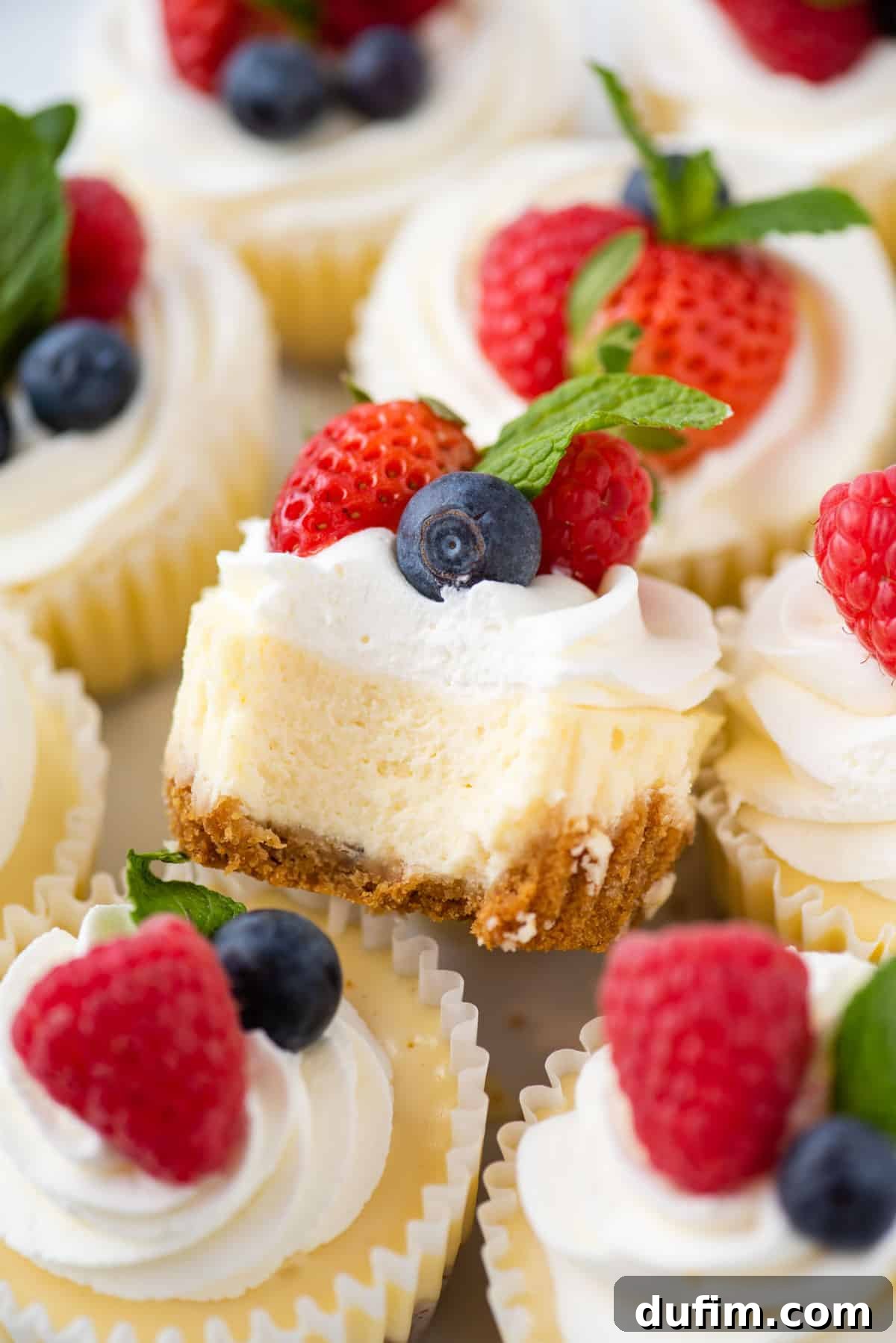 Mini cheesecakes garnished with whipped cream, fresh berries, and mint leaves, beautifully arranged for serving.