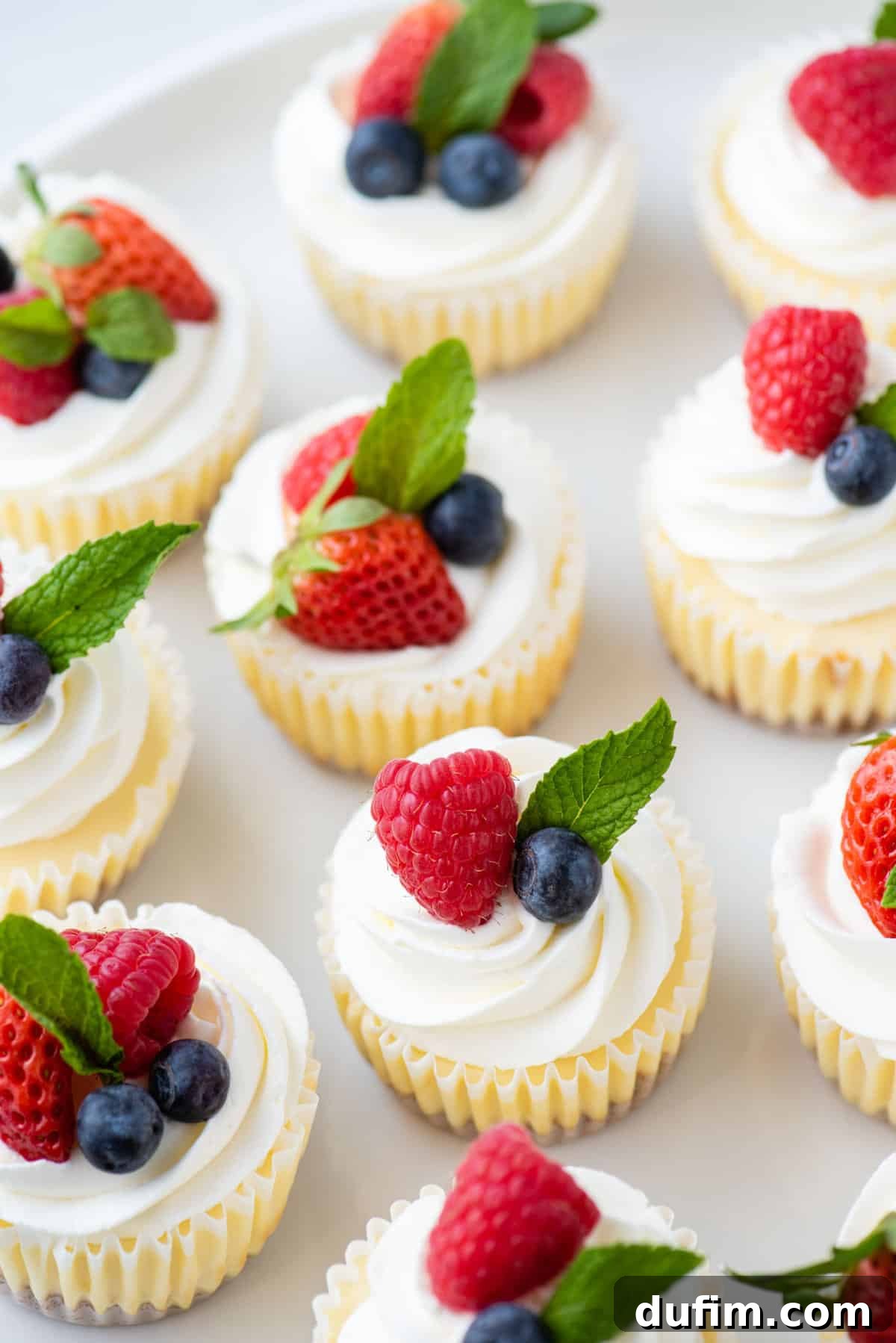 Assortment of ingredients for mini cheesecakes, including graham crackers, butter, cream cheese, sugar, eggs, and vanilla extract.