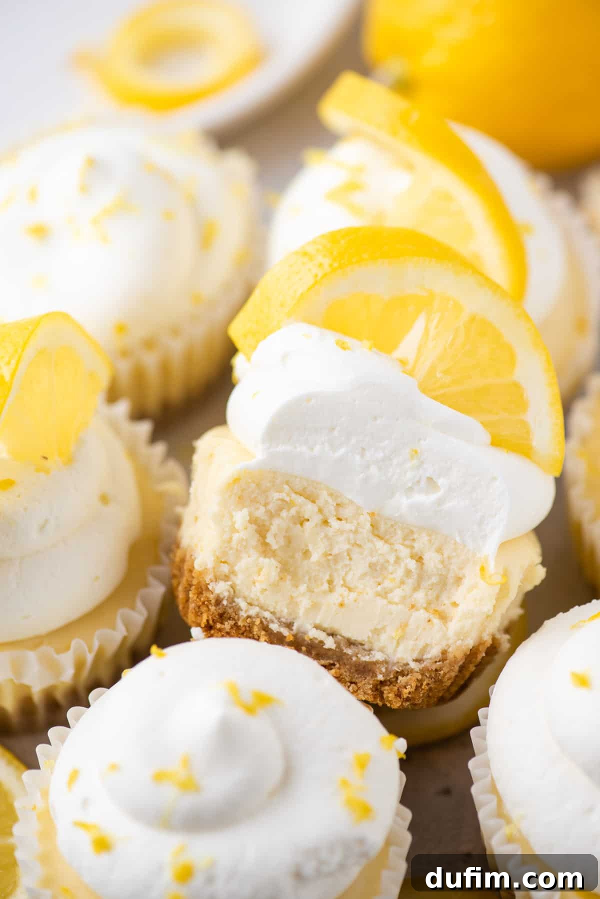 Zesty Lemon Cheesecake Bites 4 Mini lemon cheesecake topped with whipped cream and lemon slice with bite removed with more mini cheesecakes surrounding it