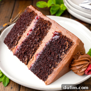 Slice of chocolate raspberry cake on plate