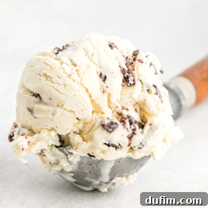 A scoop of chocolate chip ice cream with chocolate chunks sits in a metal ice cream scooper on a white surface.