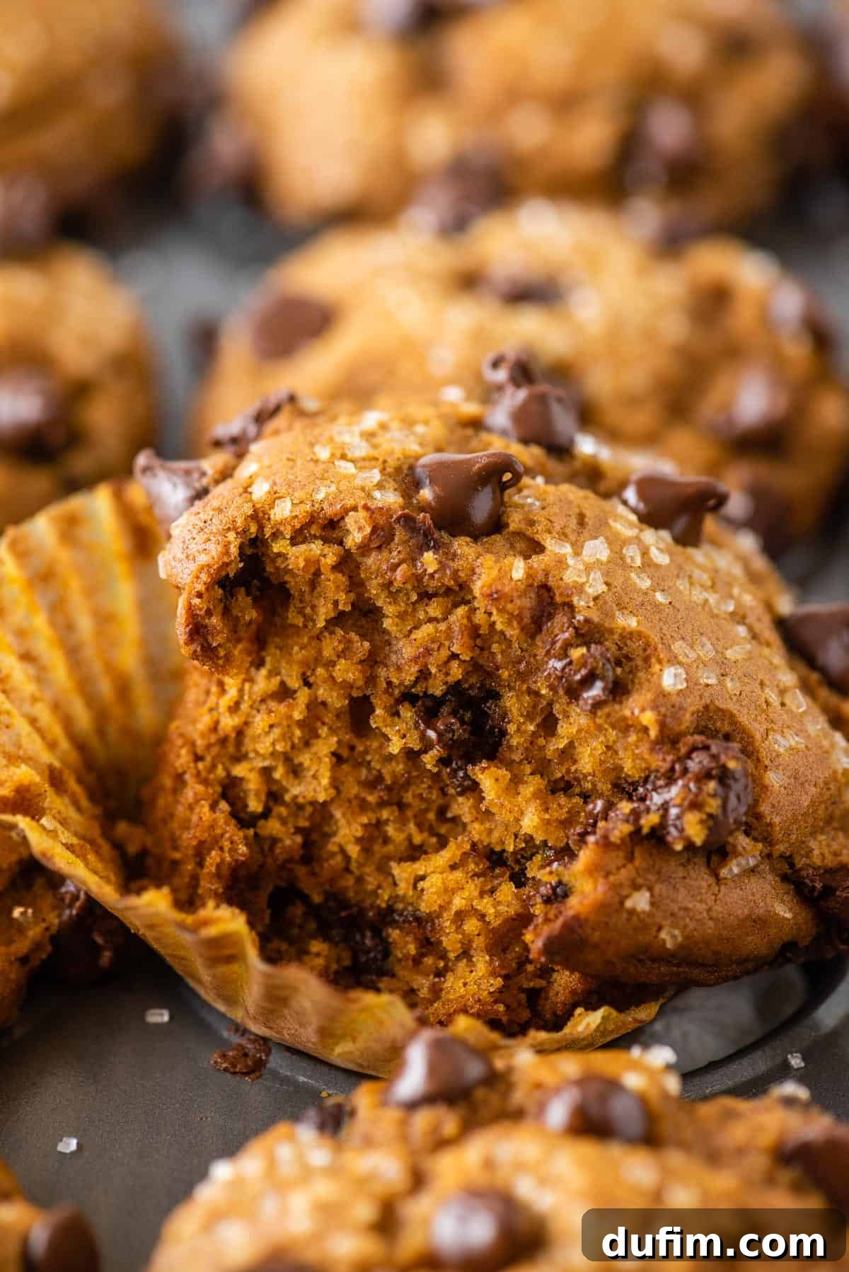 Autumn Spiced Gluten-Free Pumpkin Streusel Muffins 10 pumpkin chocolate chip muffin with bite taken out of it in metal muffin pan