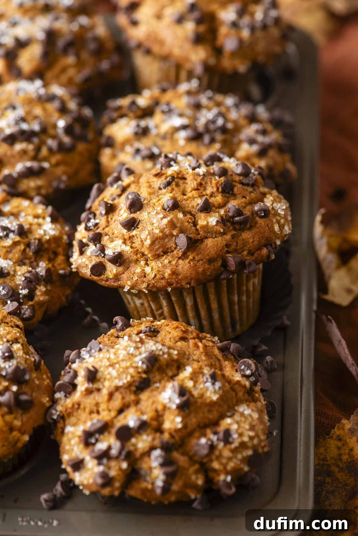 Golden Pumpkin Chocolate Chip Muffins 2 A close-up shot of a muffin tin filled with freshly baked Pumpkin Chocolate Chip Muffins, each gloriously topped with coarse sugar and mini chocolate chips. The muffins display a beautiful golden-brown, textured surface, hinting at their perfect crumb and irresistible flavor.