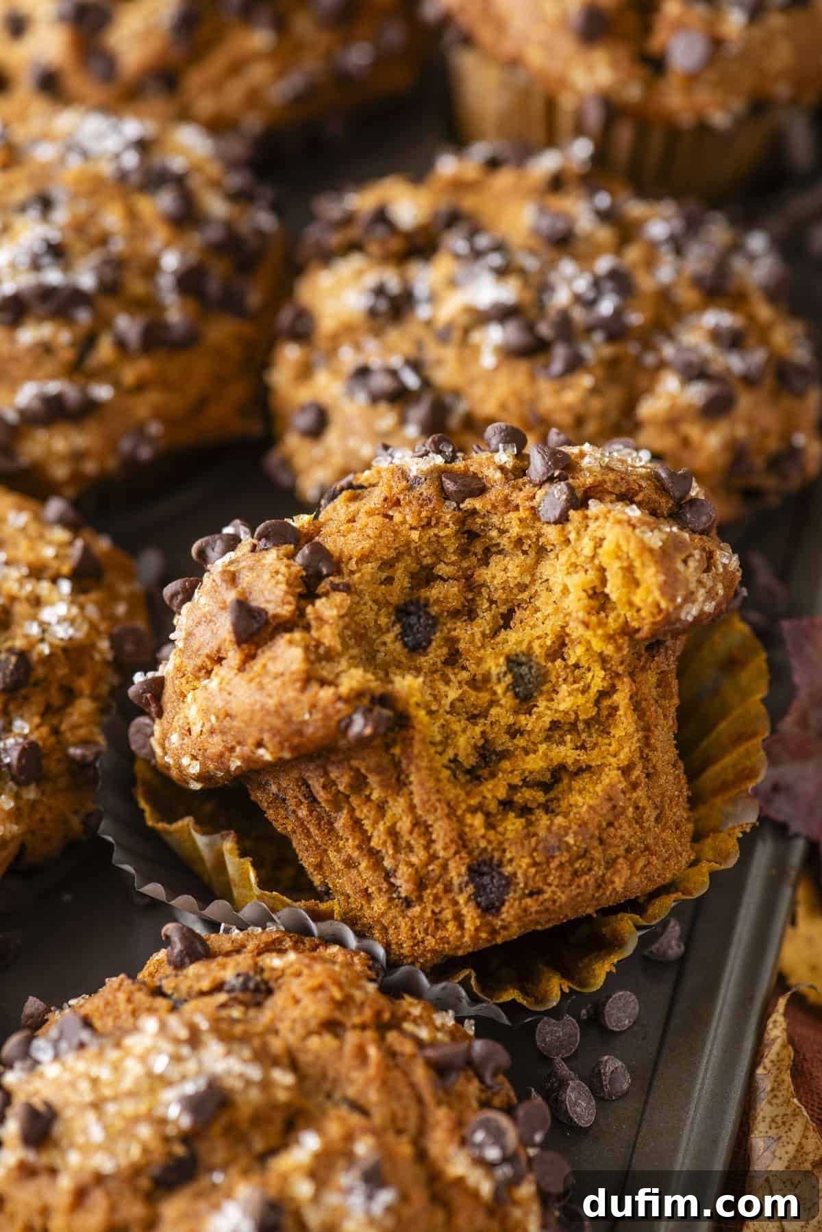 Golden Pumpkin Chocolate Chip Muffins 12 A mesmerizing close-up photograph of perfectly baked Pumpkin Chocolate Chip Muffins. One muffin is thoughtfully broken open to reveal its incredibly moist, fluffy interior, generously studded with melted, visible chocolate chips. More delicious Pumpkin Chocolate Chip Muffins and scattered chocolate chips create an enticing and mouth-watering background.
