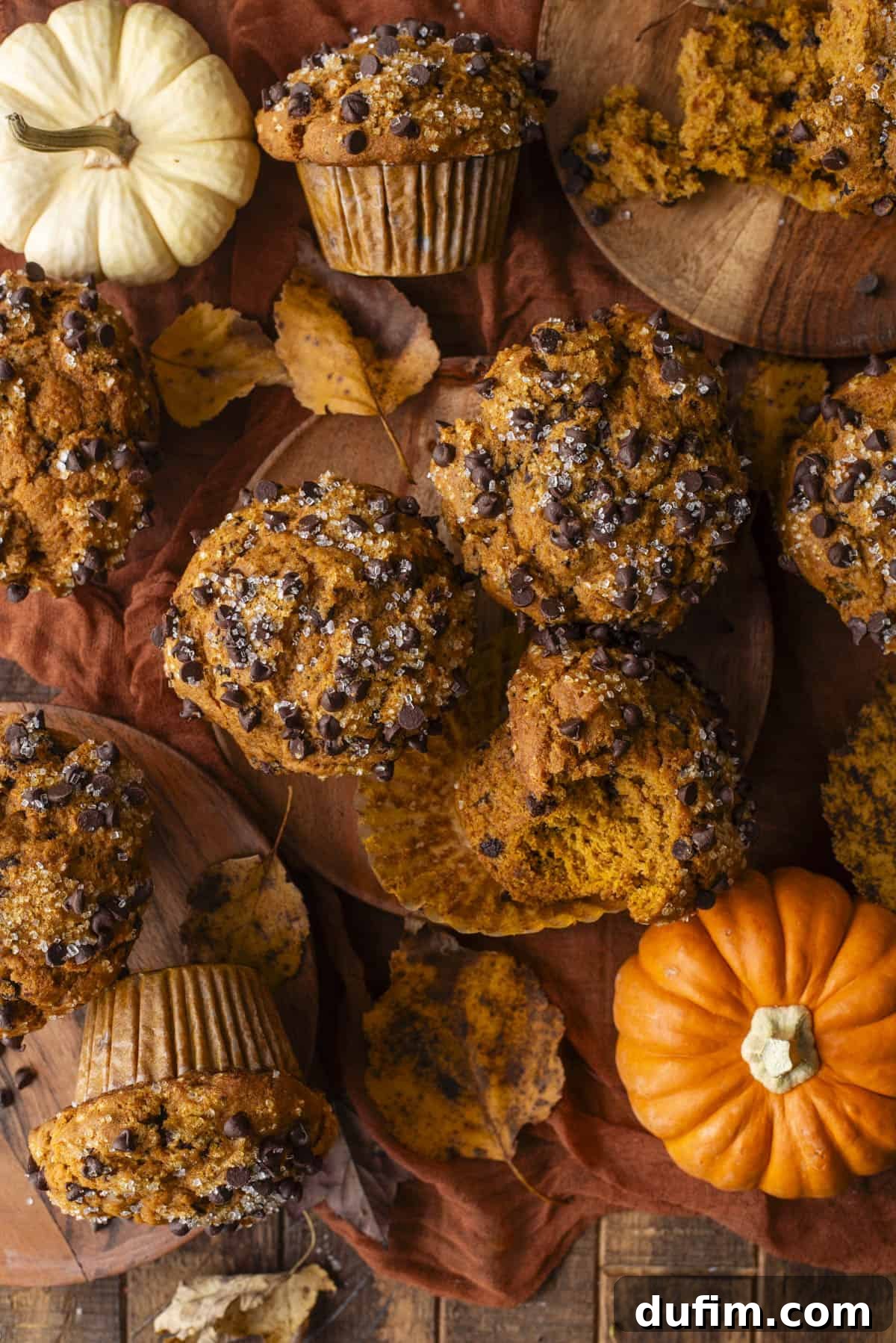 Golden Pumpkin Chocolate Chip Muffins 13 A heartwarming and vibrant autumn scene showcasing perfectly baked Pumpkin Chocolate Chip Muffins artfully arranged on a rustic cloth. The display is thoughtfully complemented by charming mini pumpkins, rich autumn leaves, and weathered wooden boards, all conspiring to capture the cozy and inviting essence of fall baking.