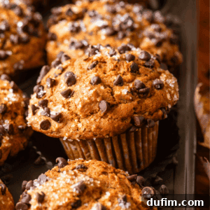 Close-up of freshly baked Pumpkin Chocolate Chip Muffins topped with chocolate chips and coarse sugar, arranged in a muffin tin. The muffins have a golden-brown color and a slightly domed top.