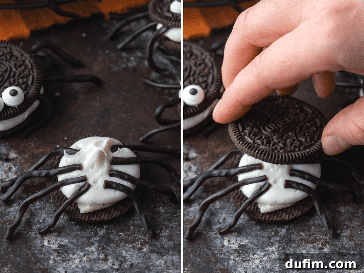Assembling Oreo Spider Legs Black shoestring licorice pieces arranged on a frosting-topped Oreo to form spider legs.