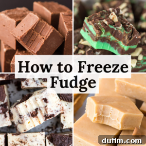 Four types of fudge in separate squares—chocolate, mint chocolate, cookies and cream, and peanut butter—all with bite marks. Center text reads, “How to Freeze Fudge.” Find out with this simple guide!