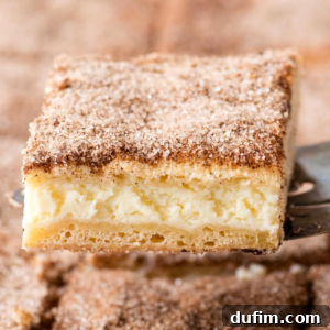 A churro cheesecake bar on a spatula, ready to be served