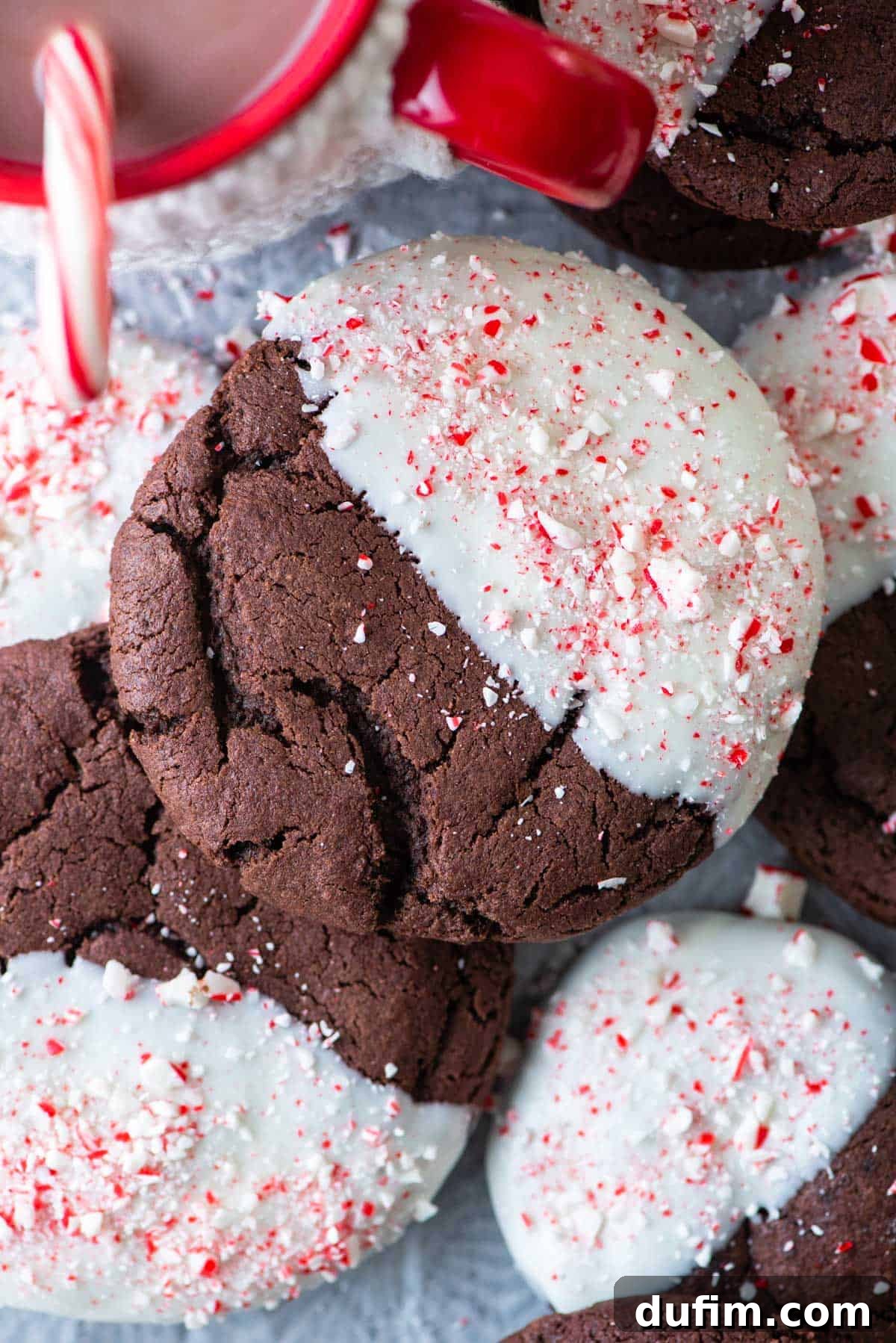 These Chocolate Candy Cane Cookies feature soft, chewy chocolate cookies dipped in white chocolate and sprinkled with crushed candy canes. Close-up of a chewy chocolate cookie half-dipped in white chocolate and adorned with vibrant crushed candy canes, showcasing its perfect texture.