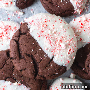 Close-up of a chocolate candy cane cookie