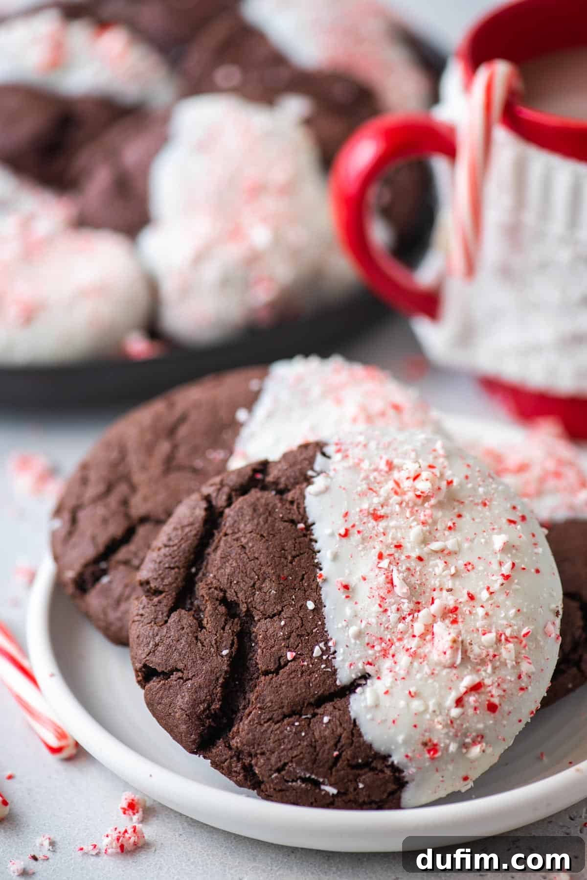 These Chocolate Candy Cane Cookies feature soft, chewy chocolate cookies dipped in white chocolate and sprinkled with crushed candy canes. A perfectly baked chocolate candy cane cookie placed elegantly on a pristine white plate, ready to be enjoyed.