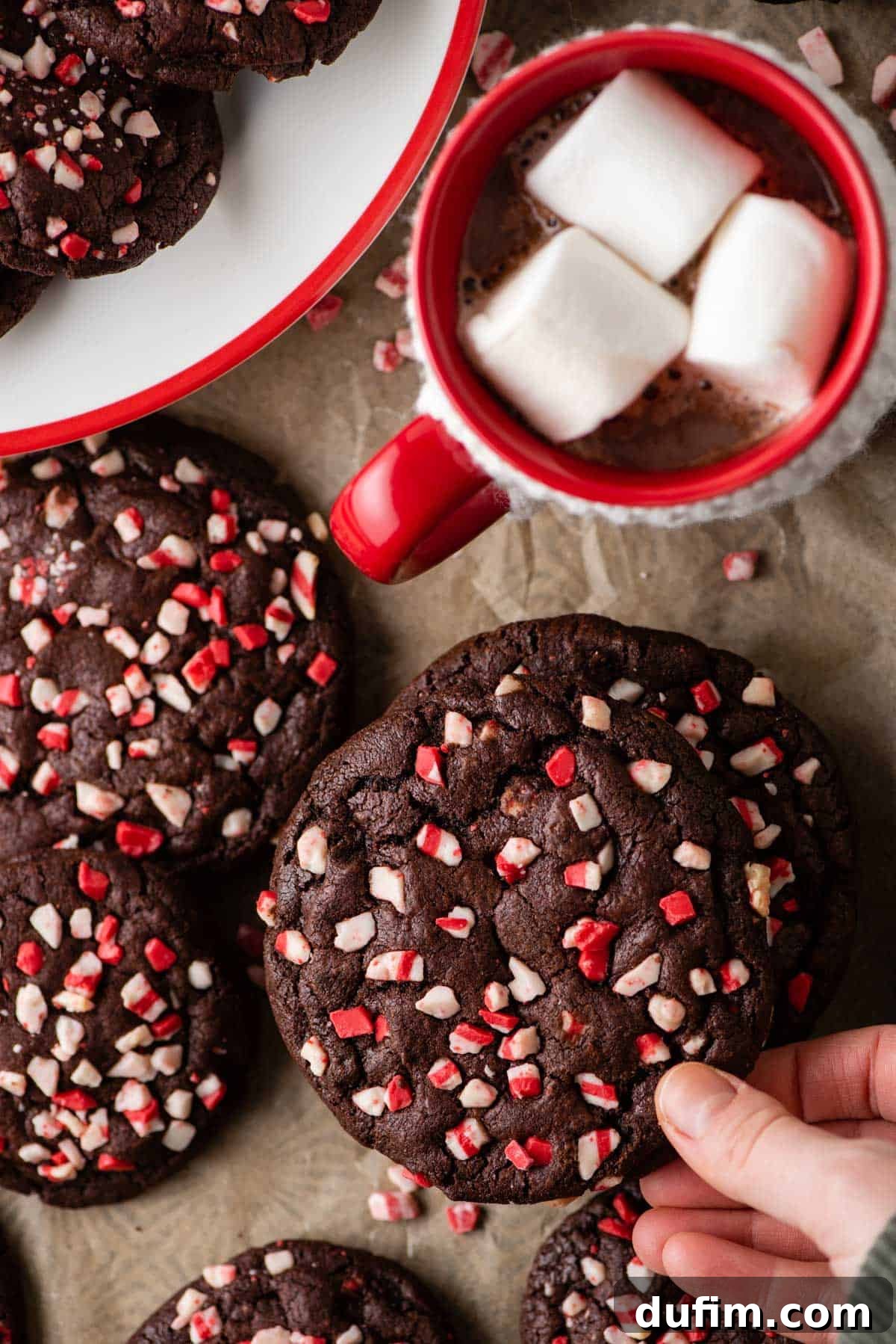 Baking Sheet filled with Delicious Chocolate Peppermint Cookies. Freshly baked peppermint crunch cookies cooling on a baking sheet, ready to be enjoyed.