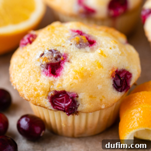 Close-up of a bakery style cranberry orange muffin, golden-brown with visible cranberries.