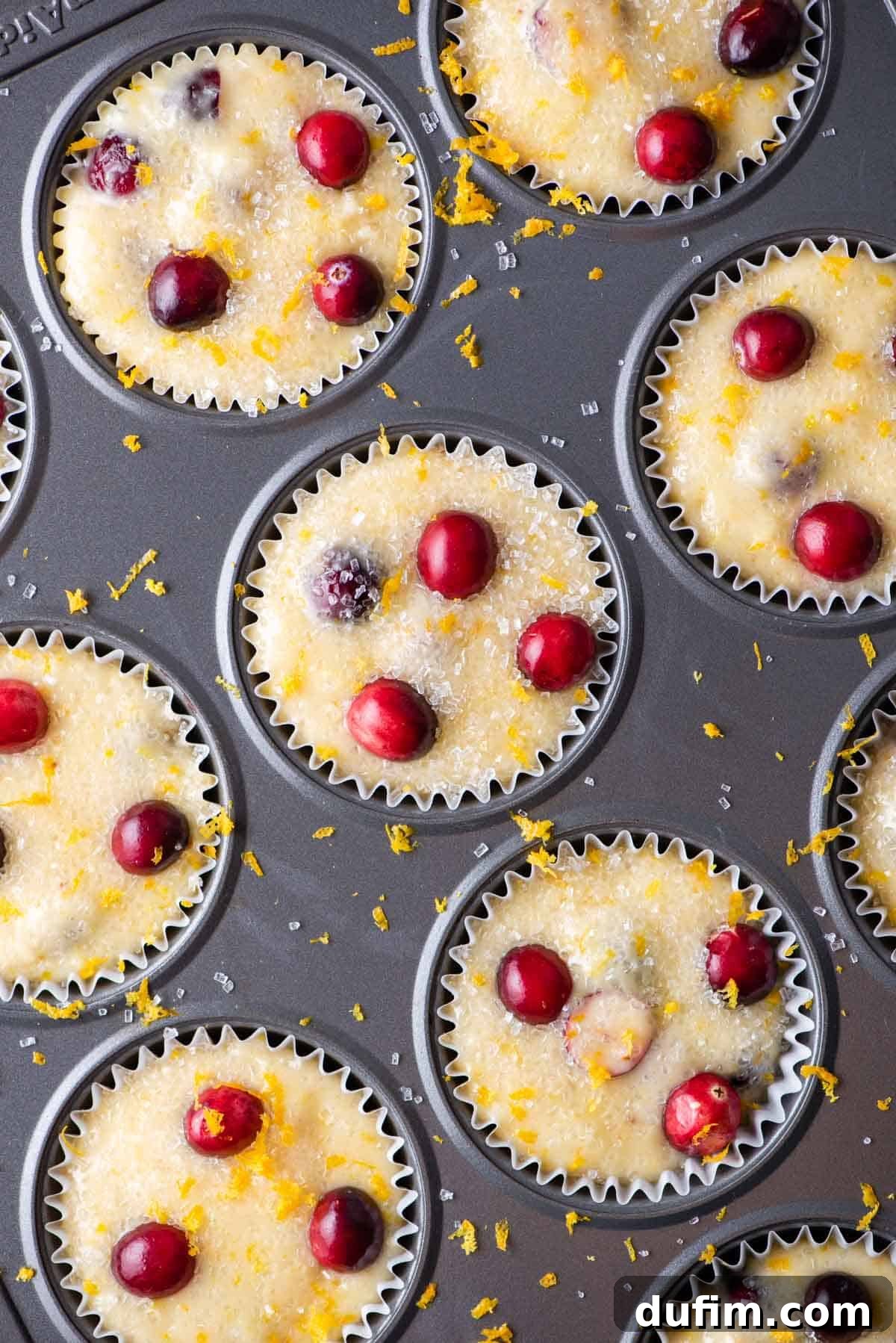Muffin liners filled almost to the top with cranberry orange batter, speckled with cranberries, arranged in an every-other-well pattern in a muffin tin, ready to bake.