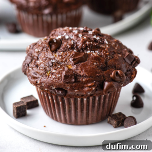 A chocolate zucchini muffin on a plate, highlighting its rich color and moist texture.