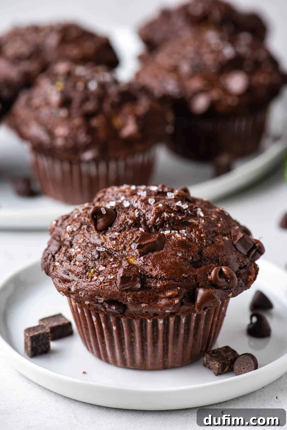 These Chocolate Zucchini Muffins are rich, moist, and oh-so-good. The zucchini adds moisture while cocoa powder adds chocolate decadence. A perfectly baked chocolate zucchini muffin on a white plate, showcasing its moist texture and chocolate chips.