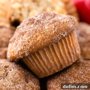 Tender Apple Cinnamon Treats 12 A beautifully baked apple cinnamon muffin with a golden top, surrounded by fresh apples and cinnamon sticks.