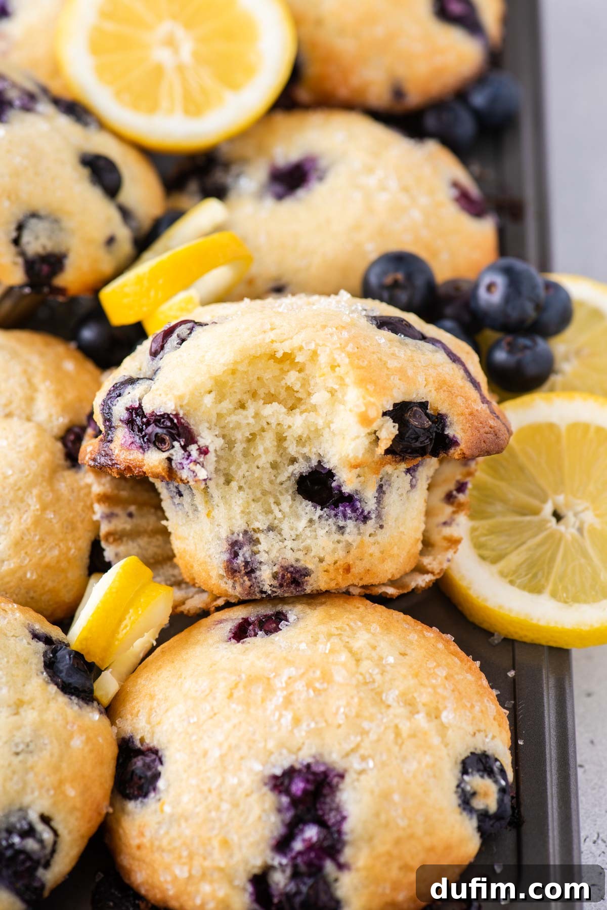 A pan full of lemon blueberry muffins with a partially eaten muffin on top, lemon slices and lemon peels