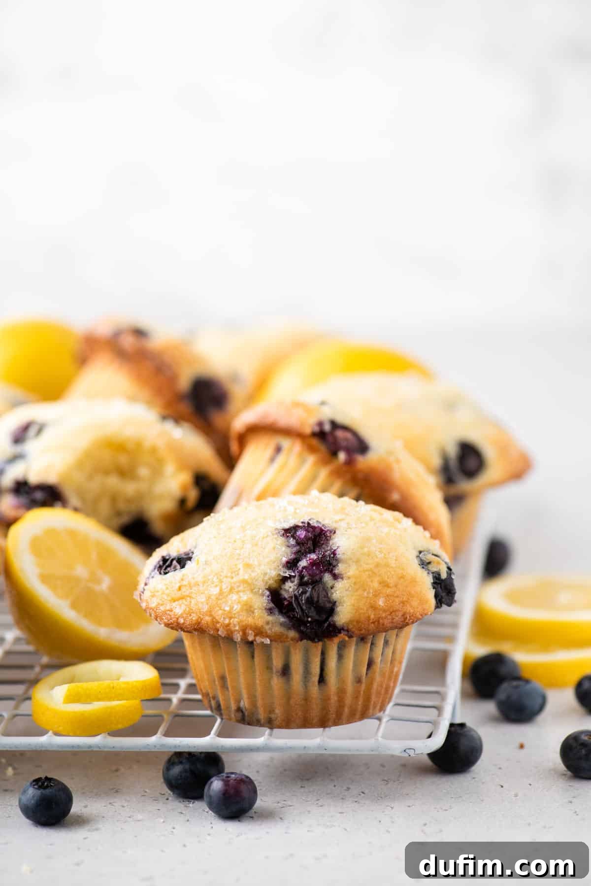 Lemon blueberry muffins on a wire cooling rack with lemon slices, lemon peels, and fresh blueberries all around