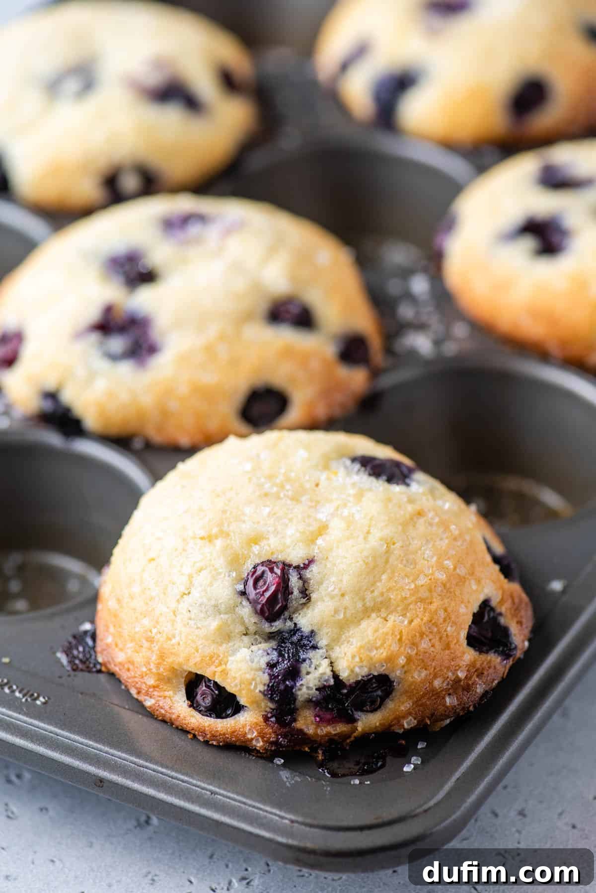 Freshly baked lemon blueberry muffins in a muffin pan, golden and domed.